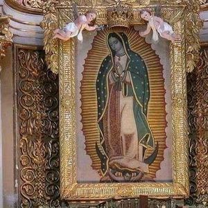 Meet your Posher, Jacinto